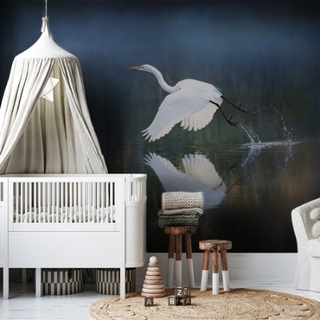 Bild på Morning Light