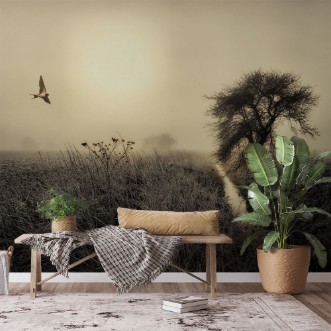 Picture of Morning mood