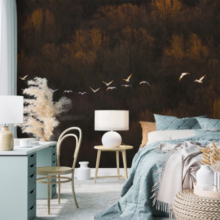 Picture of Morning mood