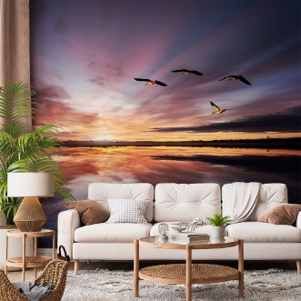 Picture of Morning mood..