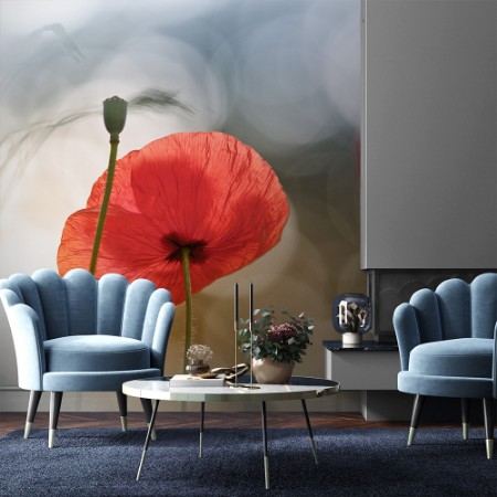 Picture of Morning Poppies