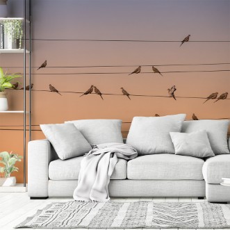 Image de Music of Light