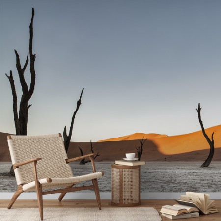 Picture of Namibian desert