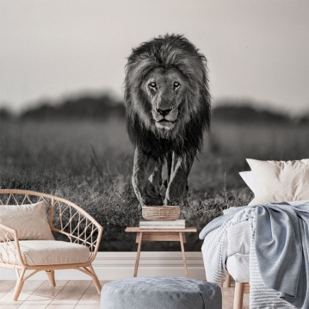 Afbeeldingen van Old boy