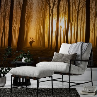 Picture of Once Upon a Time