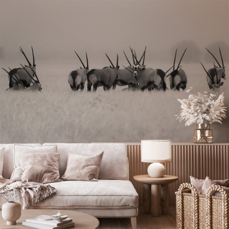 Picture of Oryx in the rain