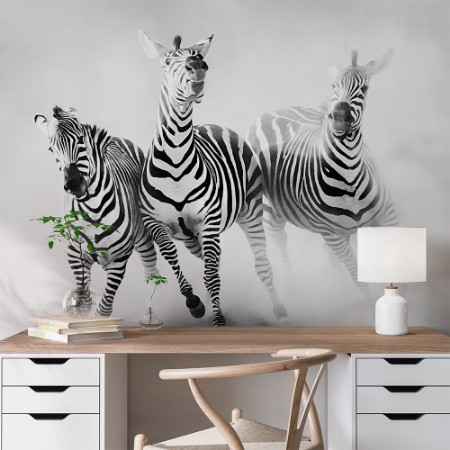 Picture of ZEBRAS