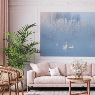 Picture of Swans in winter