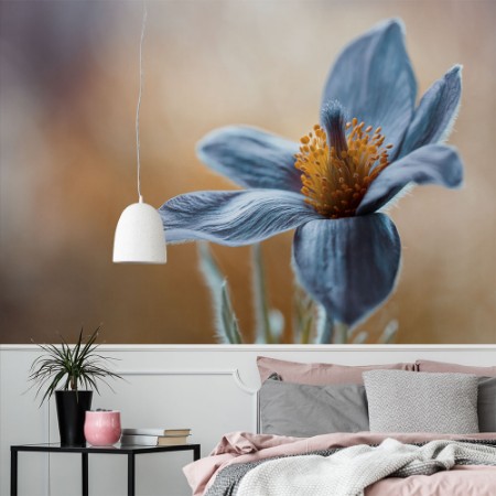 Afbeeldingen van Pasque