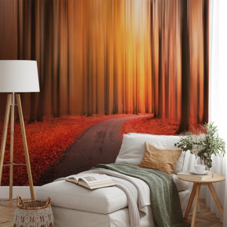 Picture of Path to unknown