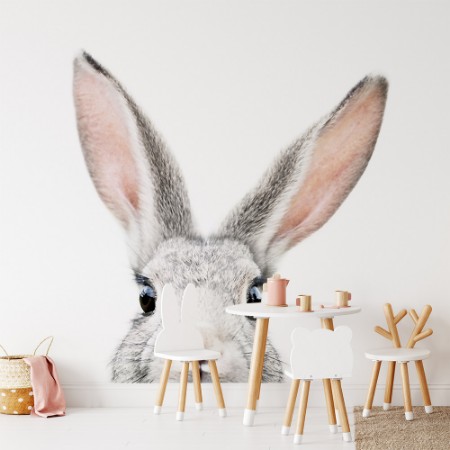 Εικόνα της Peeking Bunny