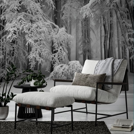 Picture of Perfect winter