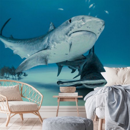 Picture of Queens of Bahamas