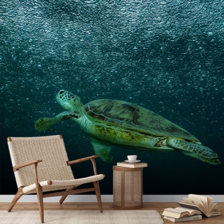 Afbeeldingen van Rain