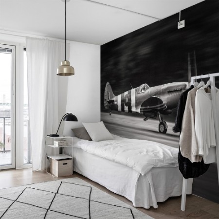 Bild på Spitfire MK XIX