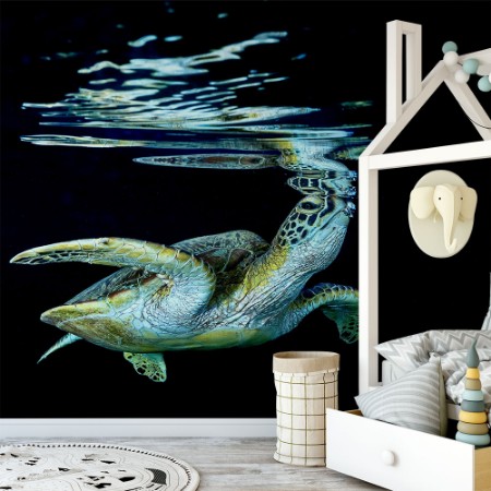 Εικόνα της Surface