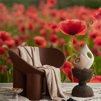 Picture of The Light Behind