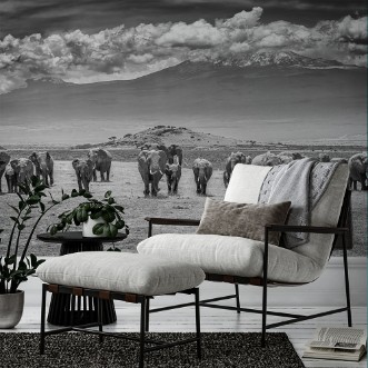 Picture of The Titans - Africa