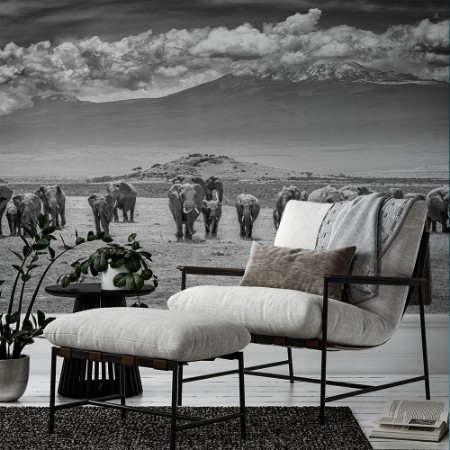 Image de Titanerna - Afrika