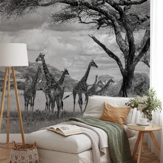 Picture of The tower!