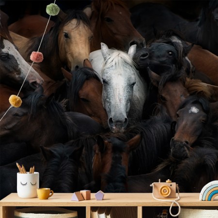 Picture of Den hvite hesten