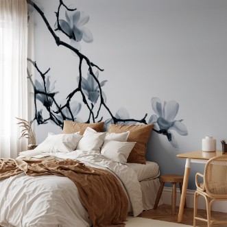 Image de The White Queen