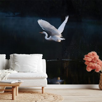 Afbeeldingen van Tranquil