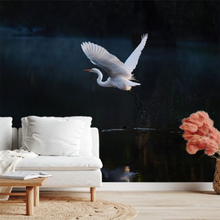 Εικόνα της Tranquil