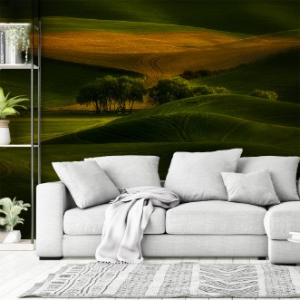 Picture of Tree in the field