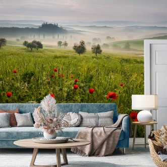 Picture of Tuscan spring