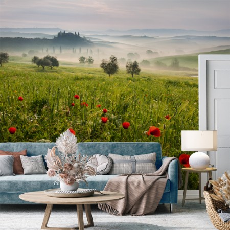 Picture of Tuscan spring