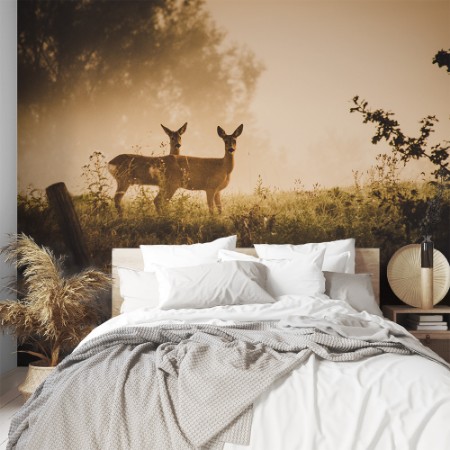 Picture of Under Observation