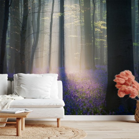 Picture of Velvet Light