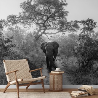 Picture of WALKING GIANT