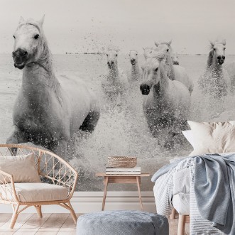 Afbeeldingen van We are coming