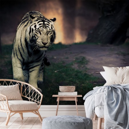 Afbeeldingen van White walker