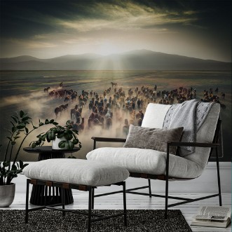 Afbeeldingen van Wilde paarden