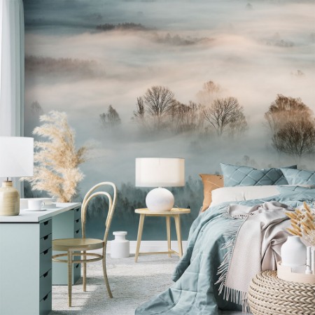 Afbeeldingen van Winter fog