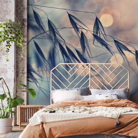 Afbeeldingen van Straw