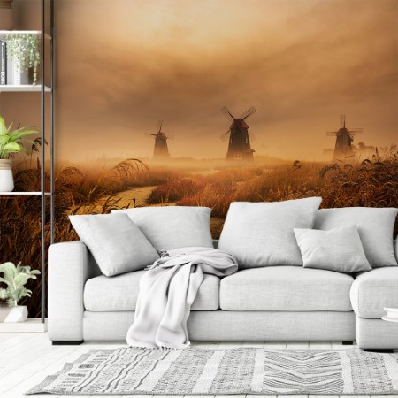 Image de A fascinating morning