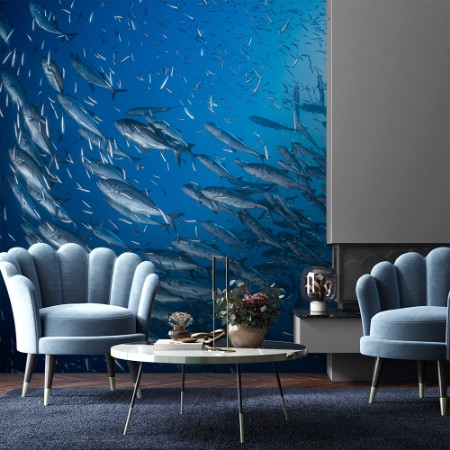 Image de A school of trevaly