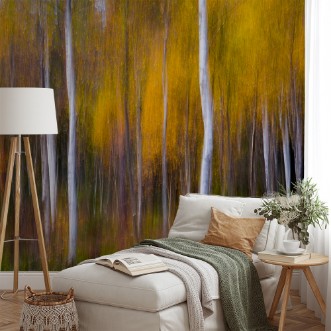 Afbeeldingen van Abstract fall