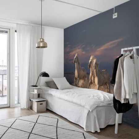 Bild på Angels of Camargue