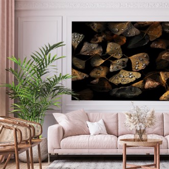 Image de Autumn Still Life.