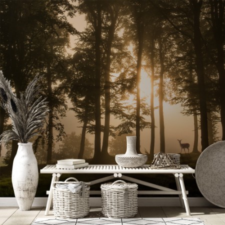 Picture of Deer in the morning mist.