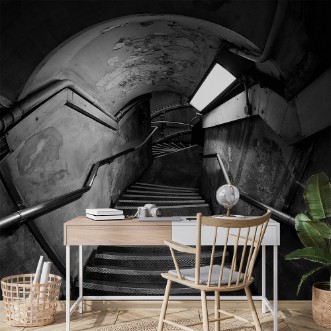 Image de Down the rabbit hole