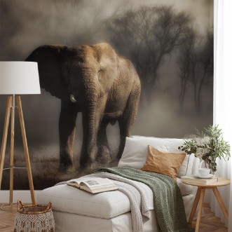 Picture of Norsu juomassa vettä