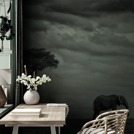 Image de Elephant landscape