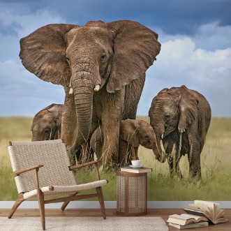 Afbeeldingen van Elephant mom protecting her calves