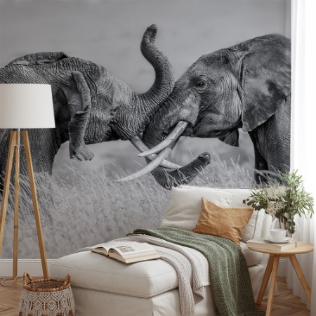 Image de Elefant Tai Chi